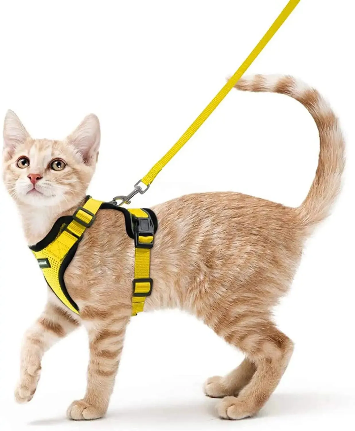Easy Control Soft Mesh Cat Harness