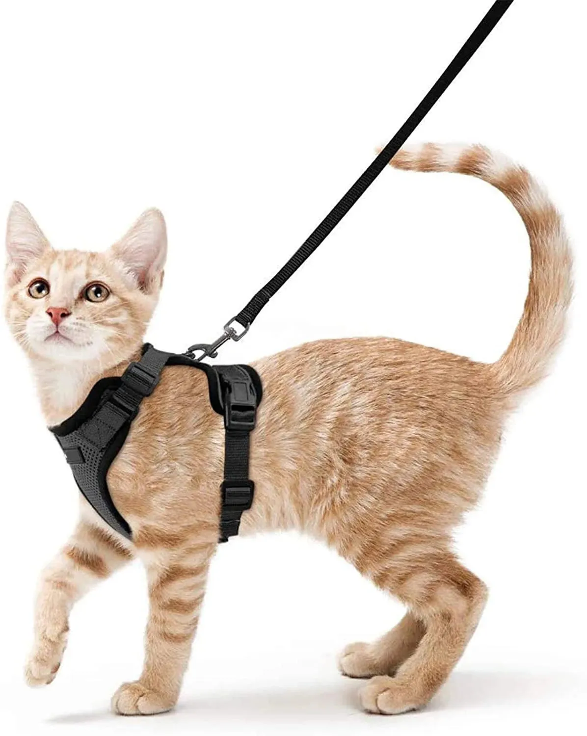 Easy Control Soft Mesh Cat Harness