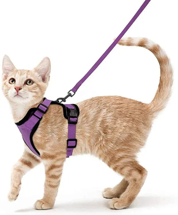 Easy Control Soft Mesh Cat Harness