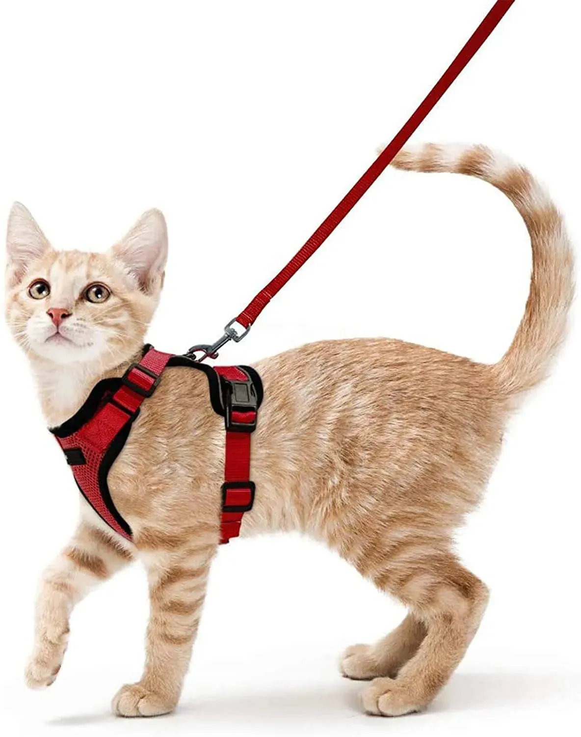 Easy Control Soft Mesh Cat Harness