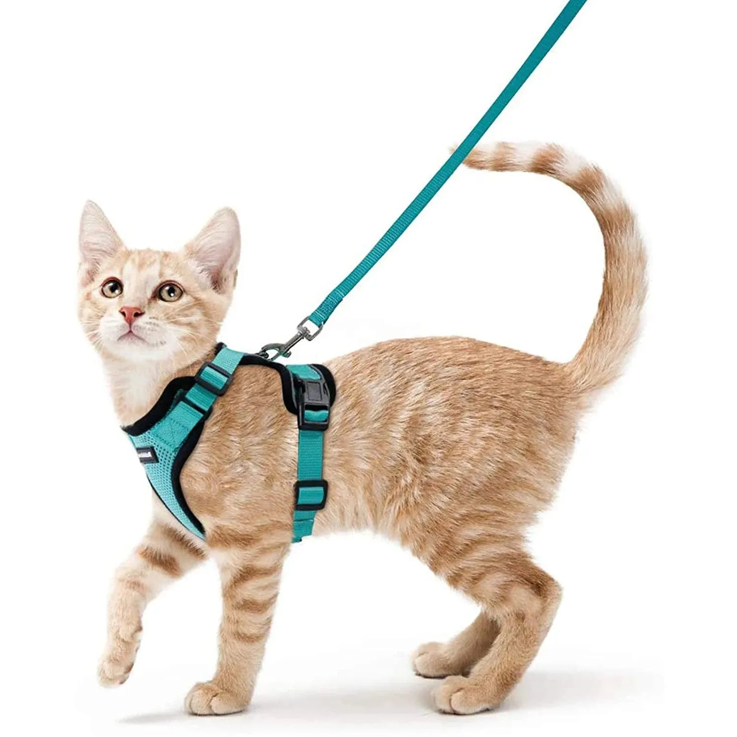 Easy Control Soft Mesh Cat Harness