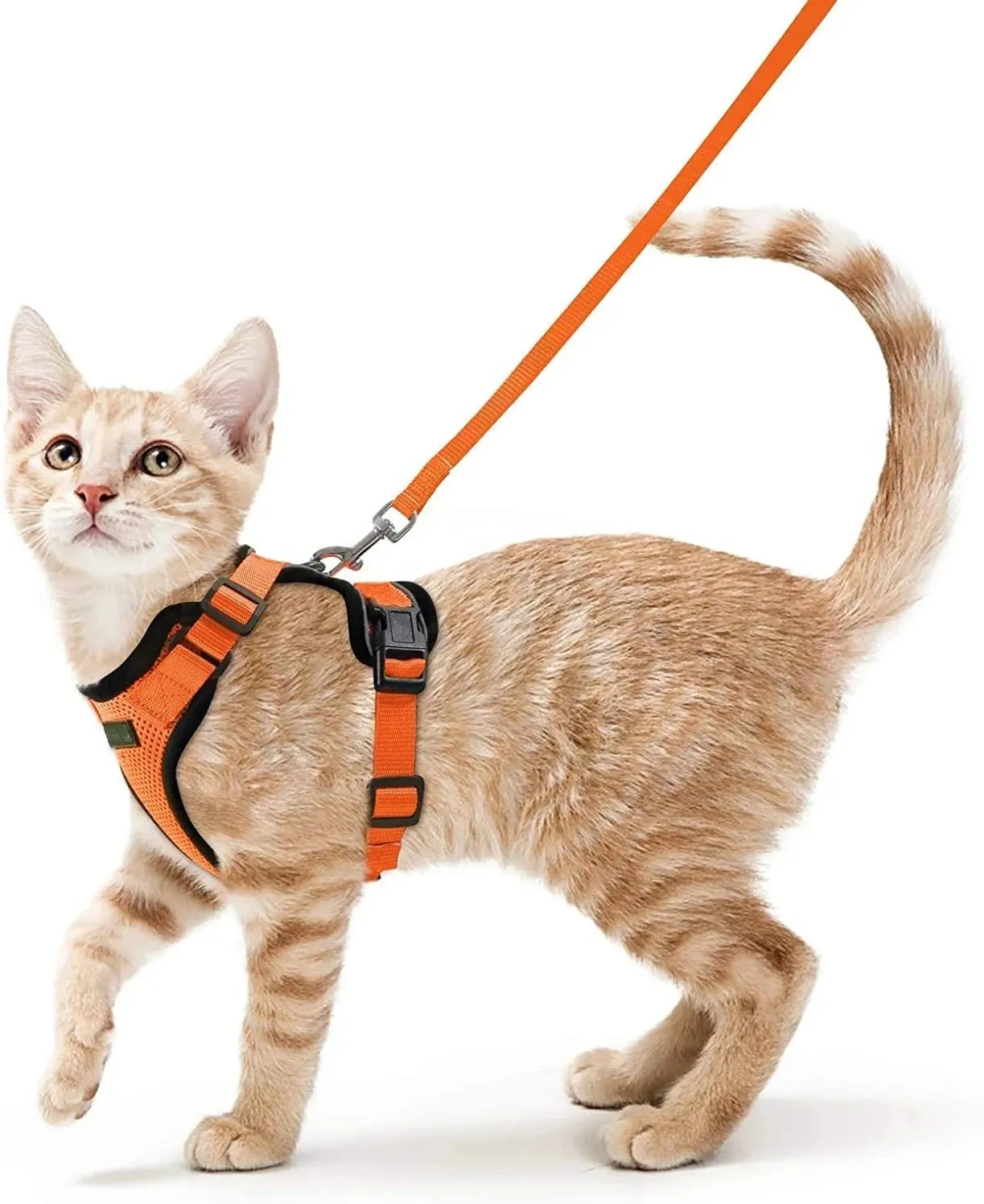 Easy Control Soft Mesh Cat Harness