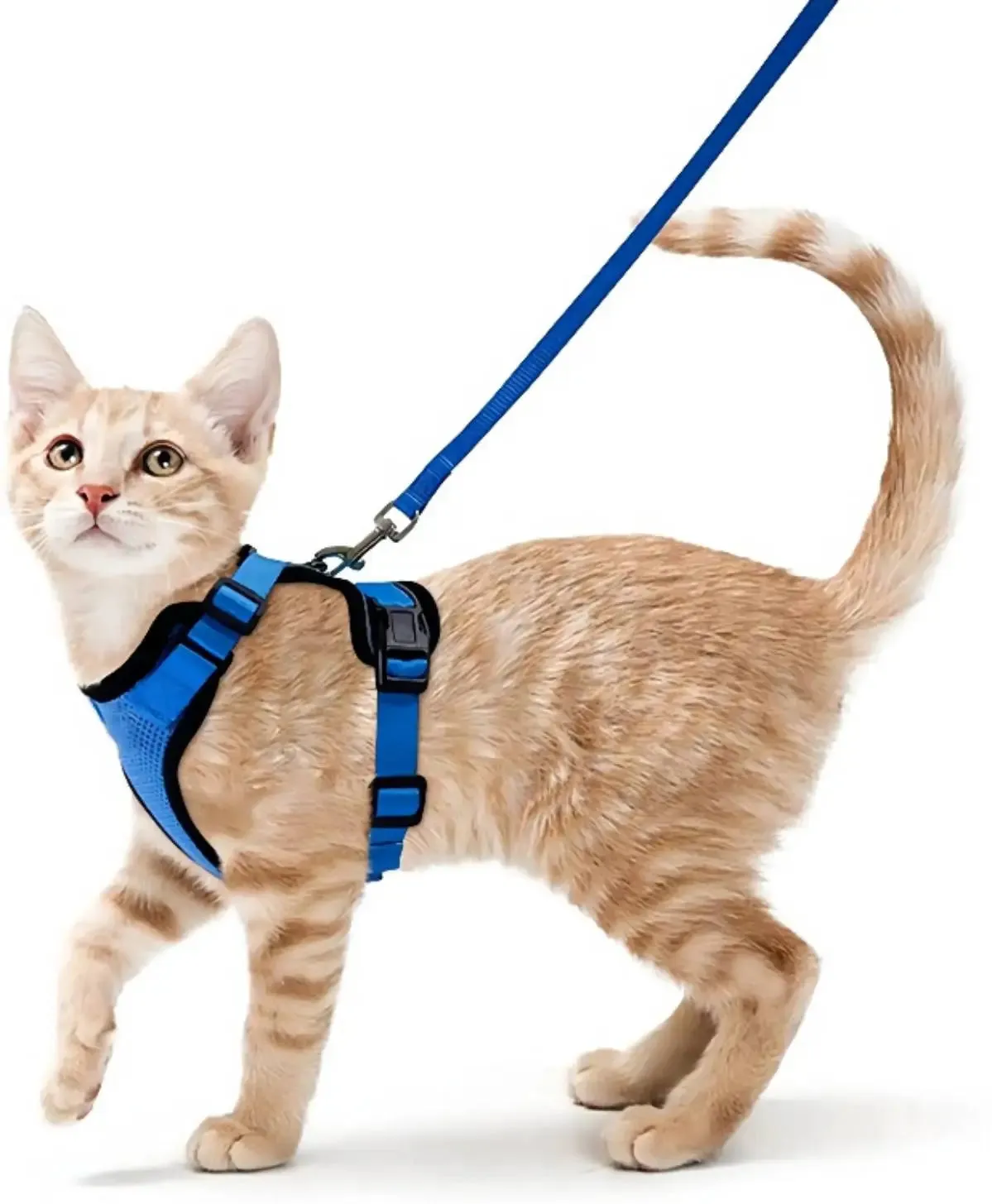 Easy Control Soft Mesh Cat Harness