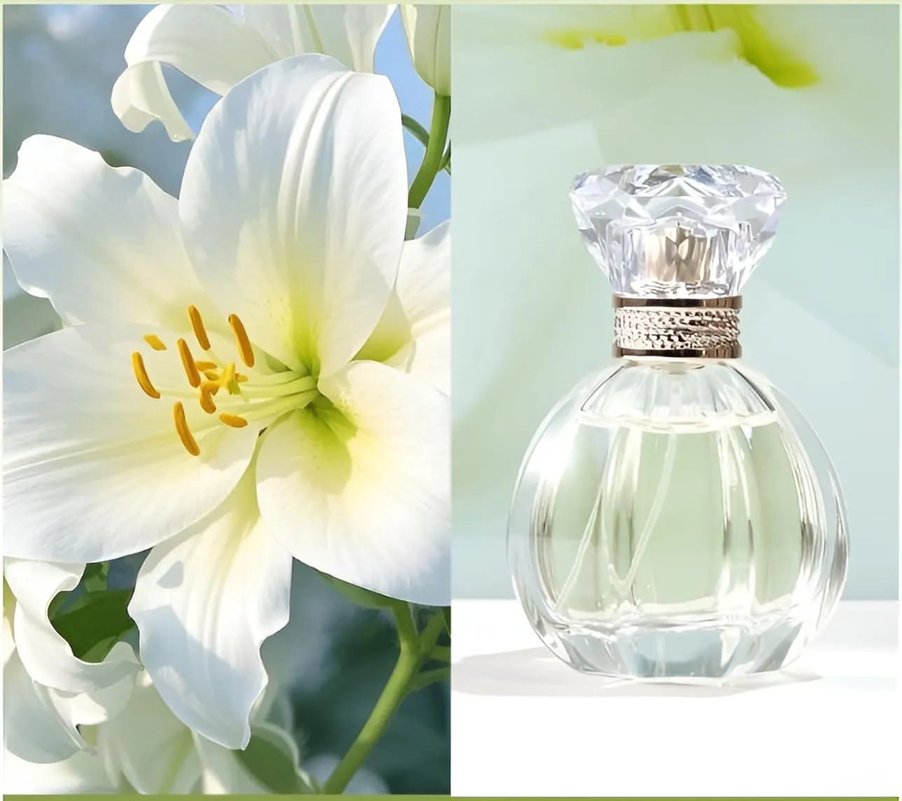 Eau de Parfum Spray for Women Eau Fraiche Eau de Toilette Perfumery Natural Floral Fragrance with Pure Long Lasting Elegant Refreshing Sweet Scent and Light Flavor 1.7 Ounce 50ml (Lily)