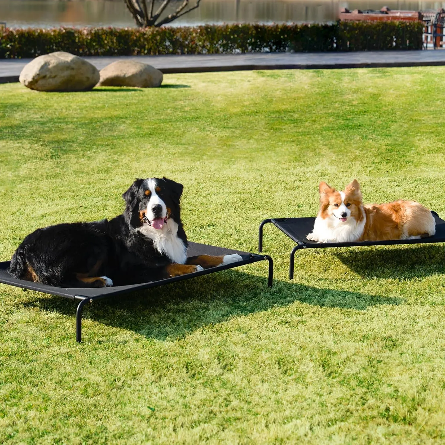 EHEYCIGA Elevated Dog Cot Beds for Large Dogs, Raised Outdoor Dog Hammock, Lifted Pet Platform with Frame and Washable Waterproof Cooling Teslin Mesh and Anti-Slip Feet, 43x26 inch