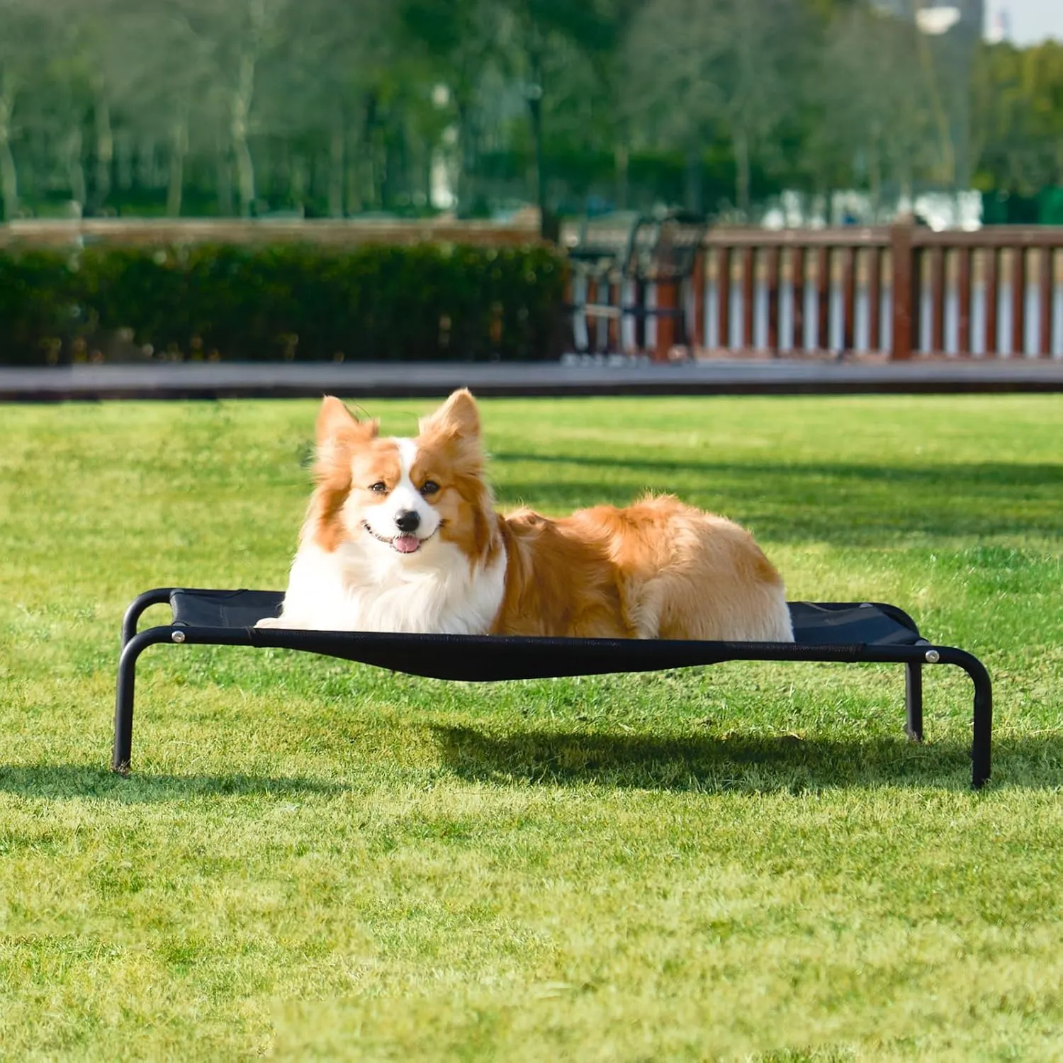 EHEYCIGA Elevated Dog Cot Beds for Large Dogs, Raised Outdoor Dog Hammock, Lifted Pet Platform with Frame and Washable Waterproof Cooling Teslin Mesh and Anti-Slip Feet, 43x26 inch
