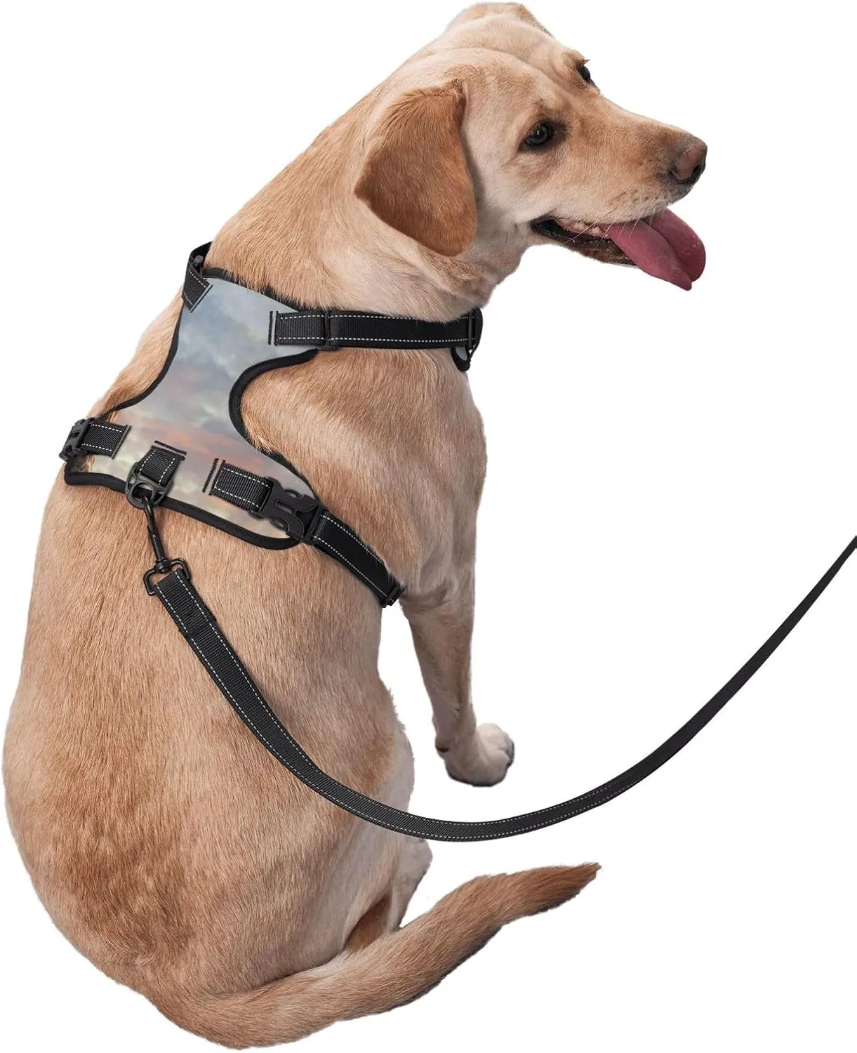 Elephant Giraffe On A Mountain Top Sunset Dog Harness No-Pull Pet Harness with 2 Leash Clips   1 Dog Leash Adjustable Soft Padded Reflective Dog Vest for Large Medium Small Dogs