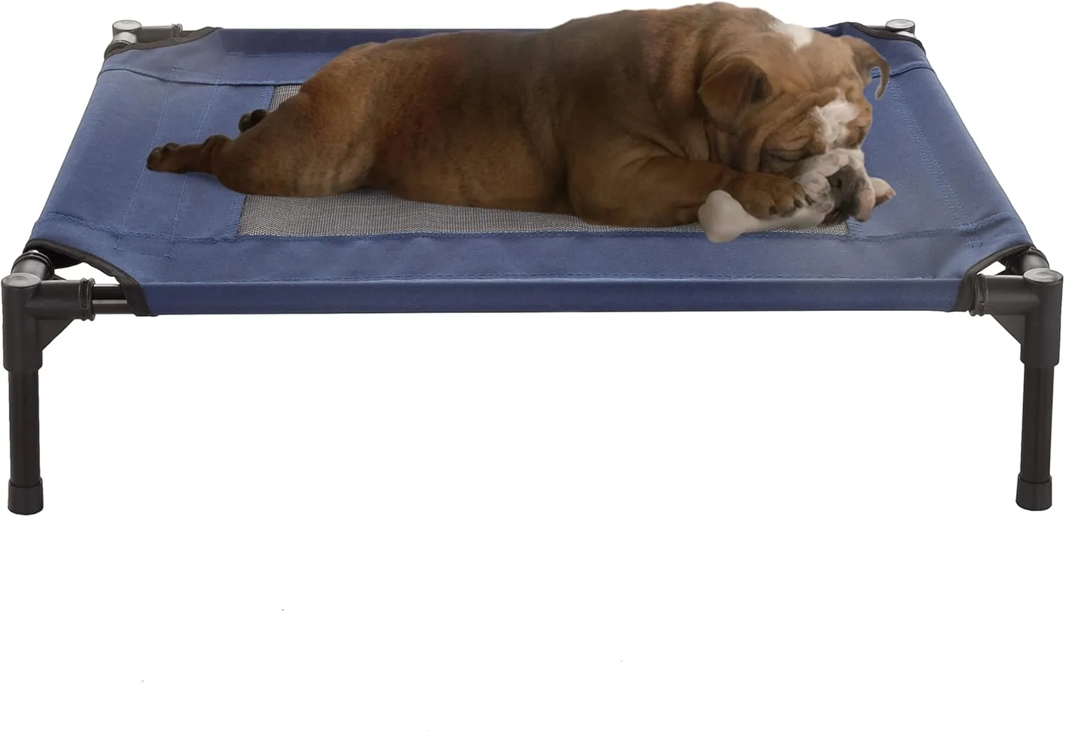 Elevated Dog Bed - 30x24-Inch Portable Pet Bed with Non-Slip Feet - Indoor/Outdoor Dog Cot or Puppy Bed for Pets up to 50lbs by PETMAKER (Blue)