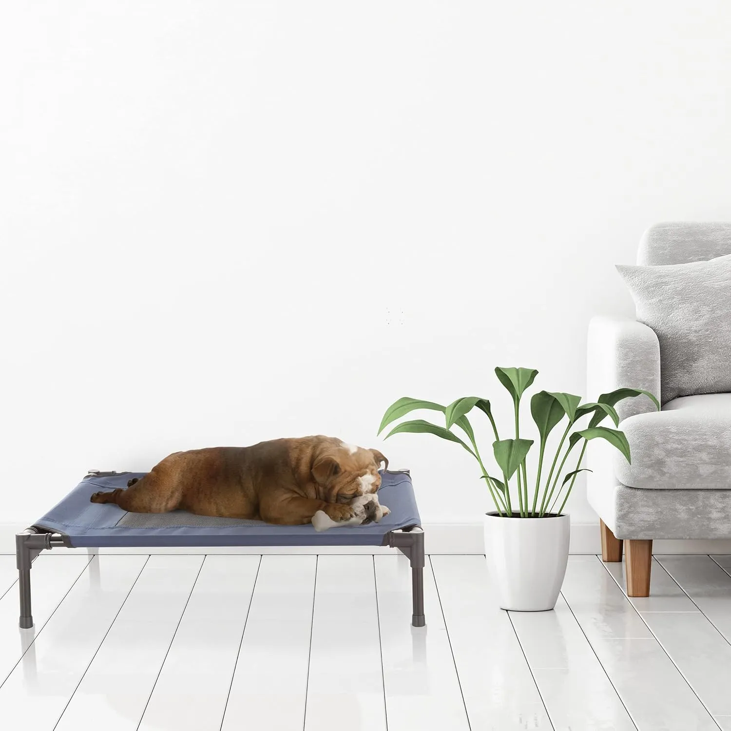 Elevated Dog Bed - 30x24-Inch Portable Pet Bed with Non-Slip Feet - Indoor/Outdoor Dog Cot or Puppy Bed for Pets up to 50lbs by PETMAKER (Blue)