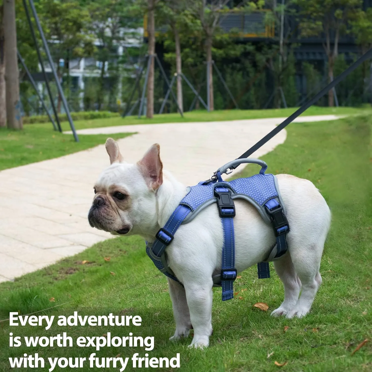 Escape Proof Dog Harness, Escape Artist Harness, Reflective Dog Harness with Handle, Durable,Adjustable Vest for Small Medium Large Dogs Walking, Training, and Running Gear(Technicolor Blue,S)