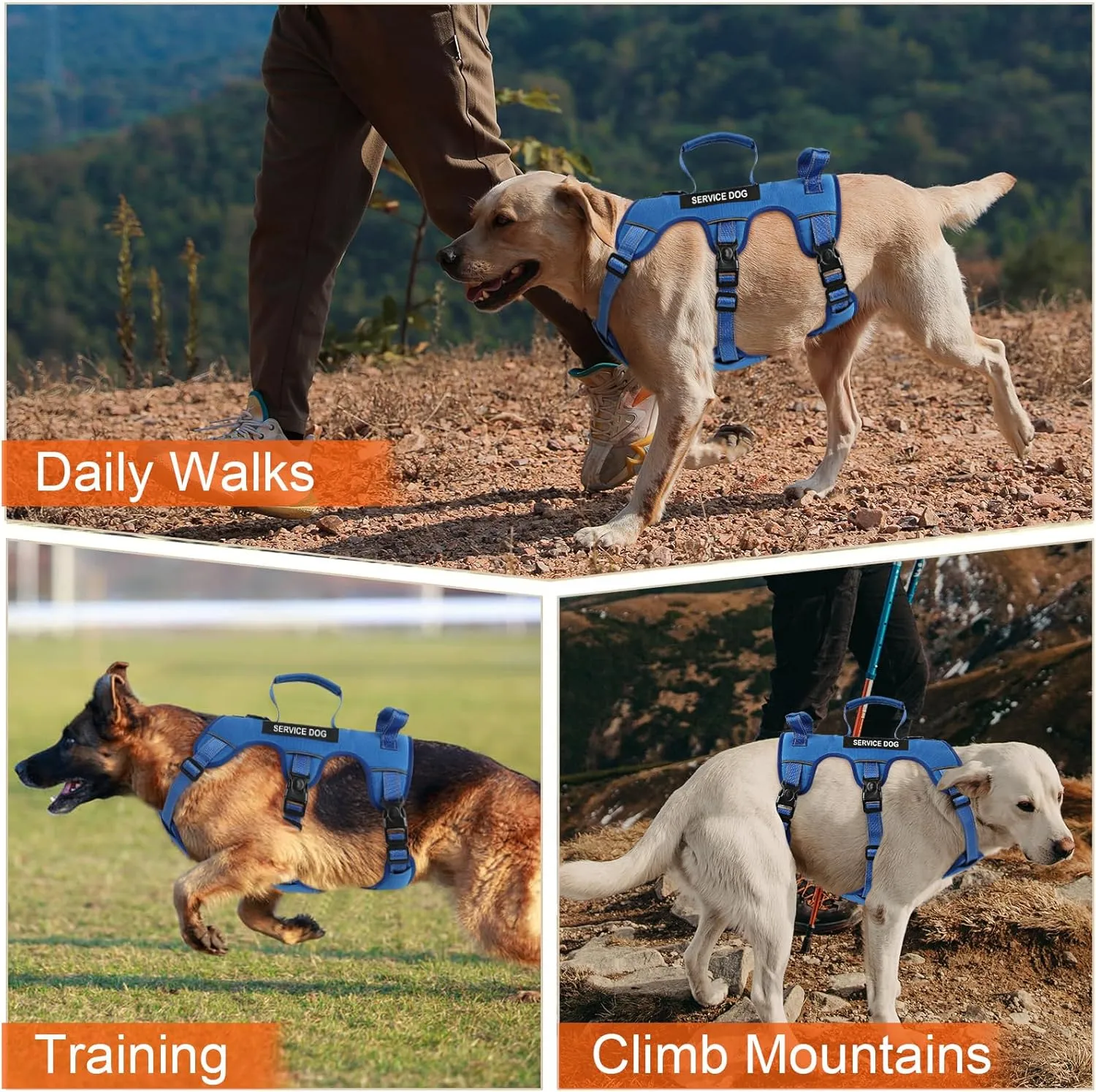 Escape Proof Dog Harness for Large Medium Sized Dogs Six Point Adjustable, Service Dog Vest Harness and Leash Set, No Pull Dogs Harnesses with Handle, XL Dog Harnesses for Walking(Blue, L)