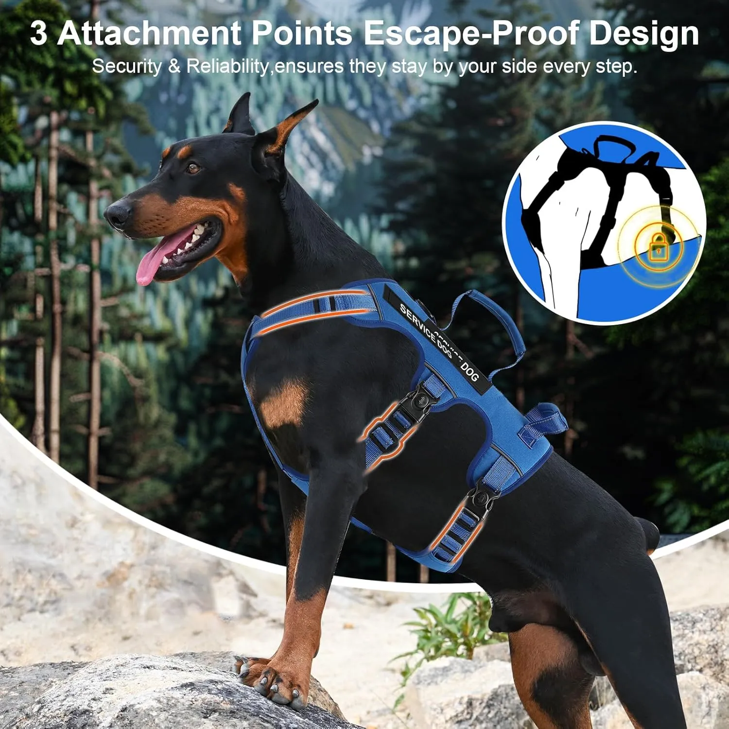 Escape Proof Dog Harness for Large Medium Sized Dogs Six Point Adjustable, Service Dog Vest Harness and Leash Set, No Pull Dogs Harnesses with Handle, XL Dog Harnesses for Walking(Blue, L)