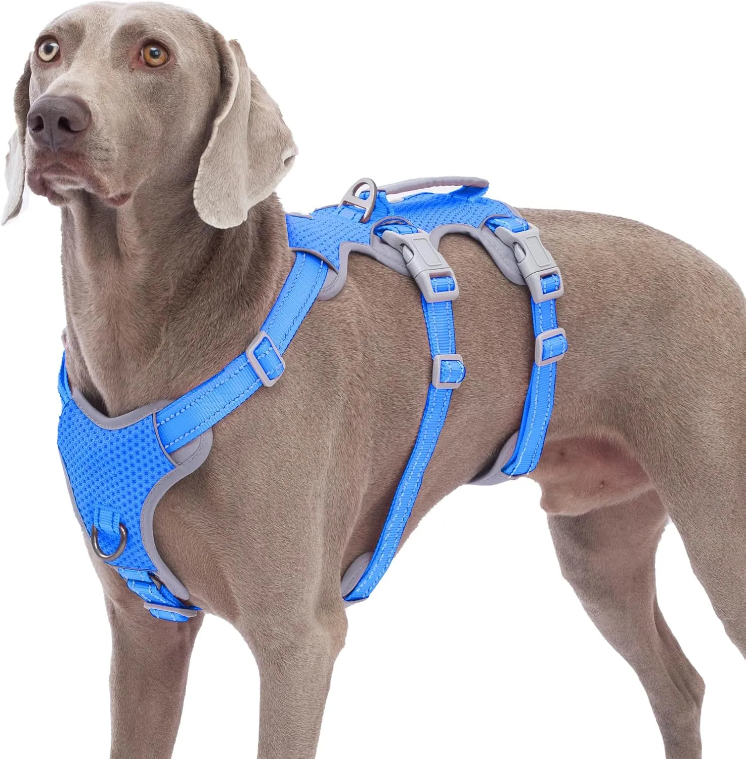 Escape Proof Dog Harness, No Pull Reflective Harness with Lift Handle,Adjustable Pet Vest with Front and Back Leash Clips for Small Medium Large Dogs Walking Hiking Training (Sea Blue,L)