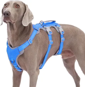 Escape Proof Dog Harness, No Pull Reflective Harness with Lift Handle,Adjustable Pet Vest with Front and Back Leash Clips for Small Medium Large Dogs Walking Hiking Training (Sea Blue,L)