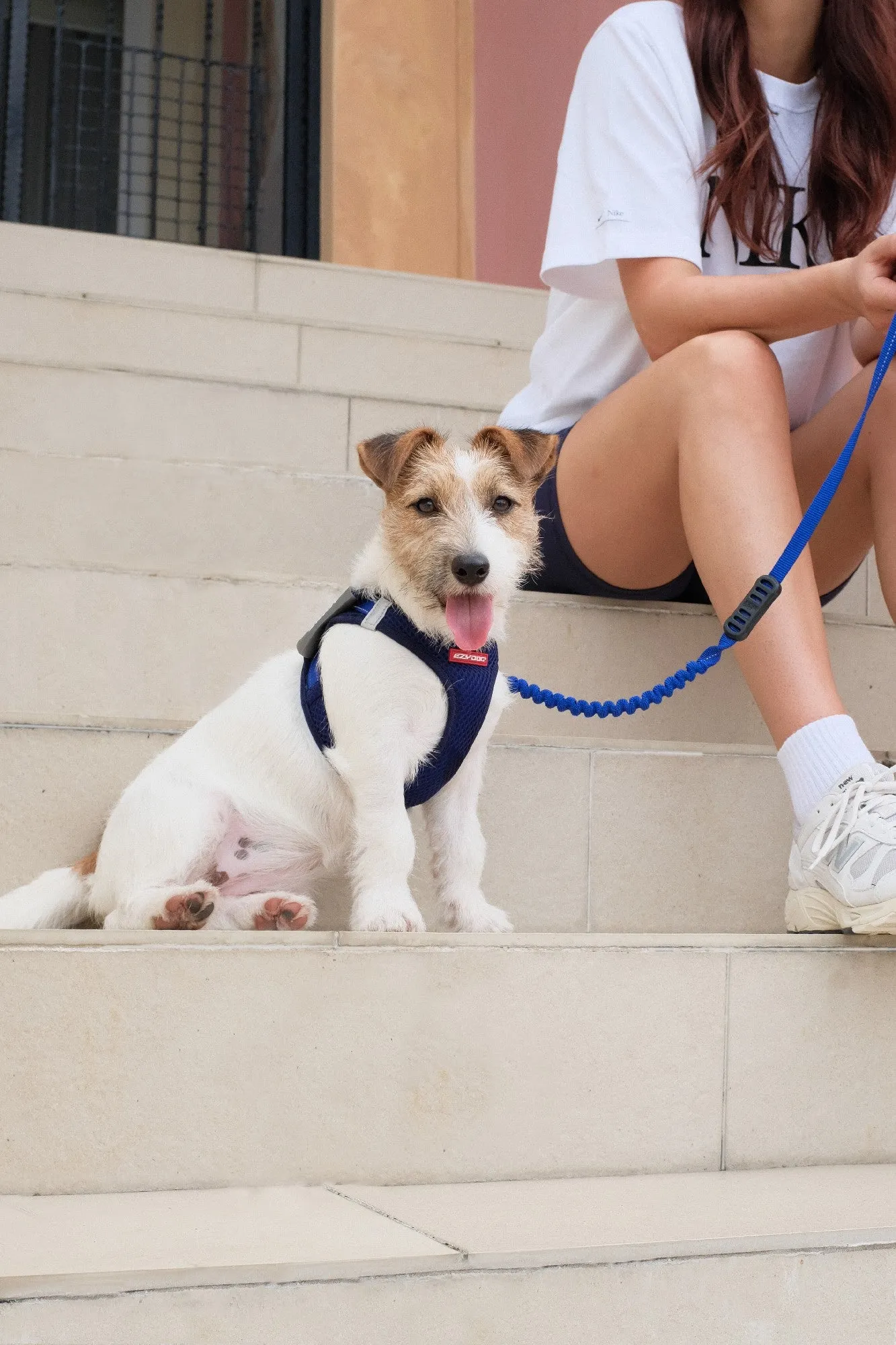 EzyDog FormFit Mesh Harness Blue