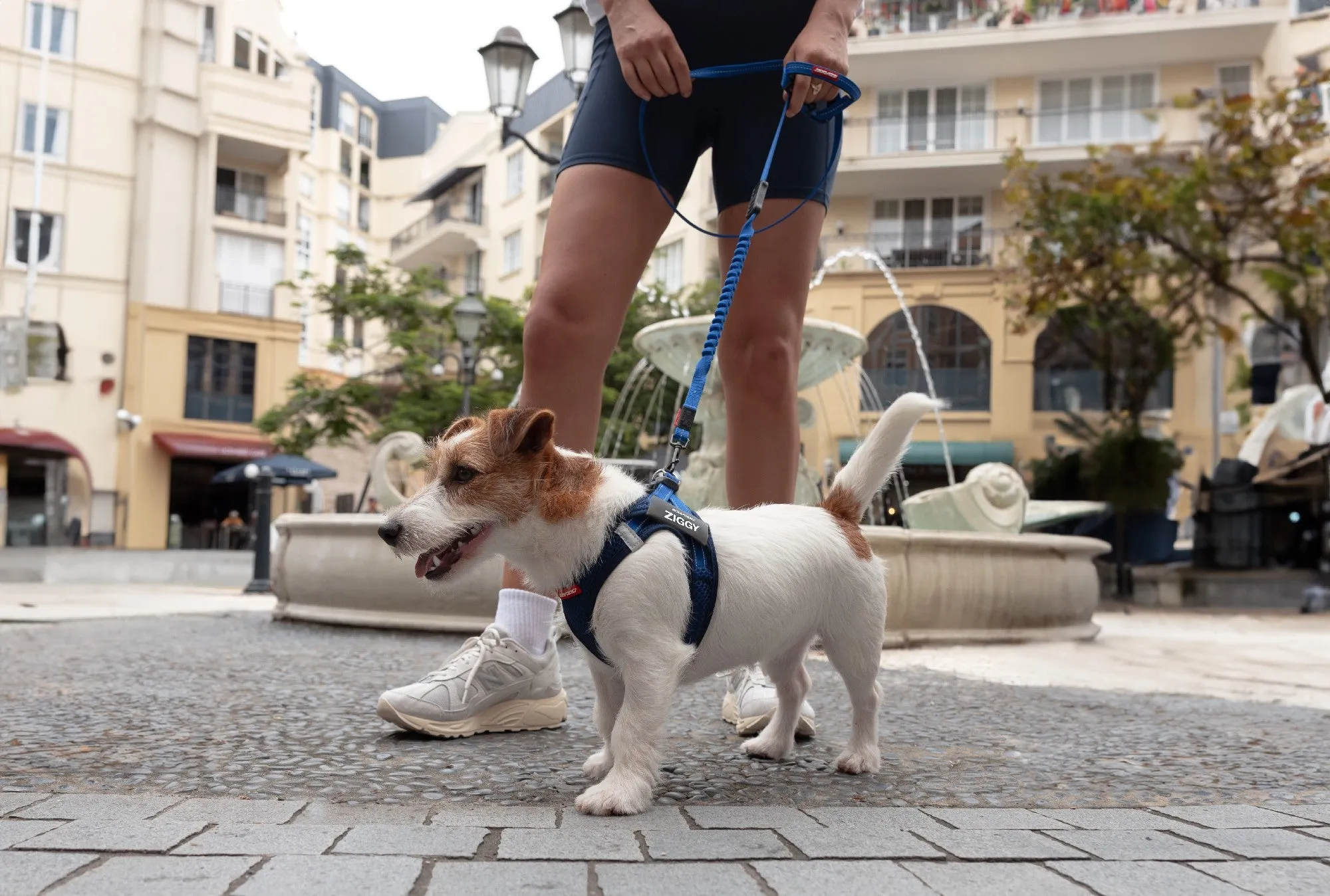 EzyDog FormFit Mesh Harness Blue