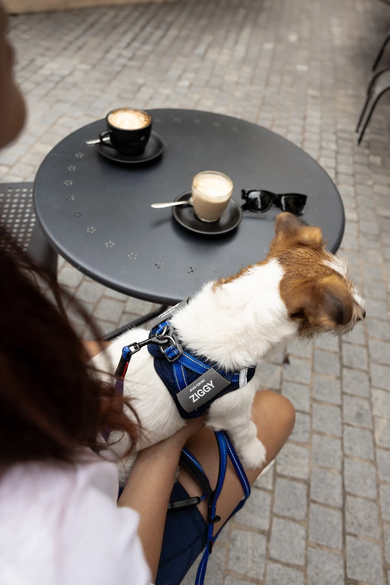 EzyDog FormFit Mesh Harness Blue
