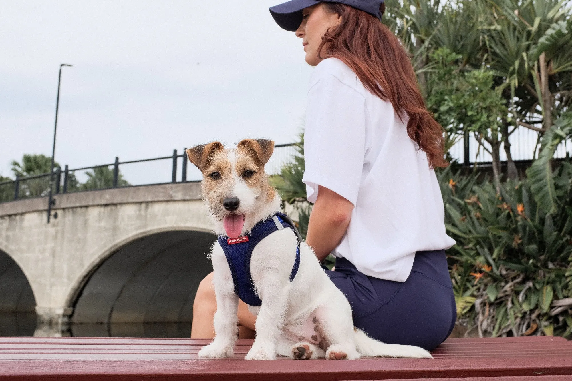 EzyDog FormFit Mesh Harness Blue