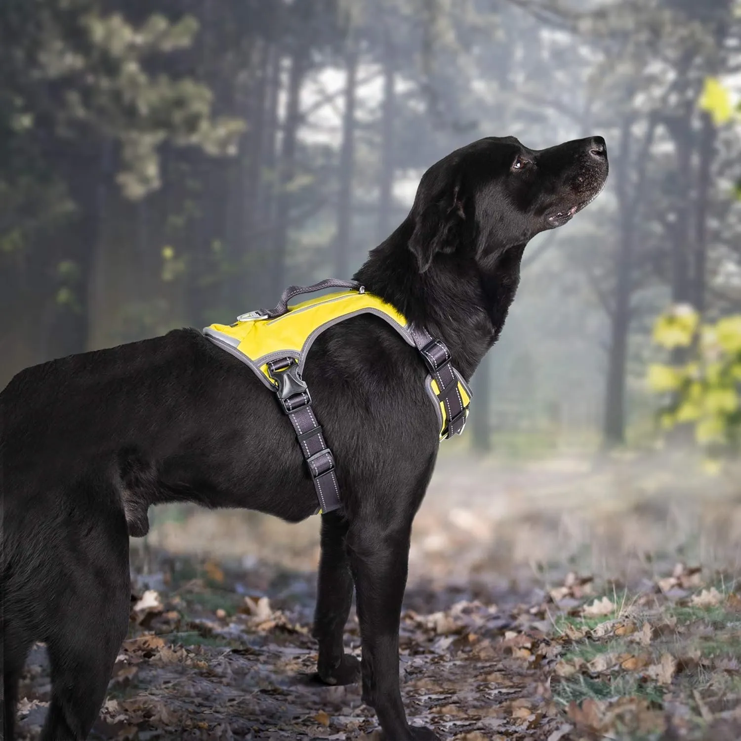 Fida Dog Harness, Multi-Functional No-Pull Pet Vest Harness with Saddle Bags Backpack, Front Leash Clip, Adjustable Soft Padded Reflective No-Choke Dog Vest Heavy Duty for Large Dog, L, Yellow