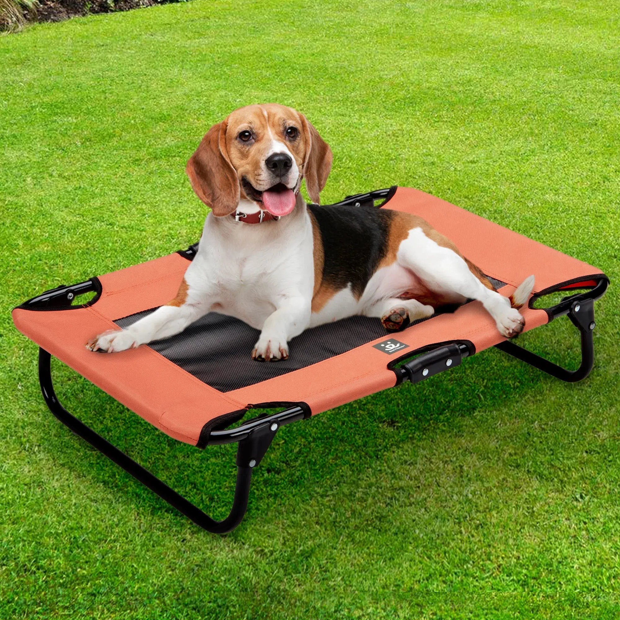 Folding Pet Cot w/Collapsible bowl
