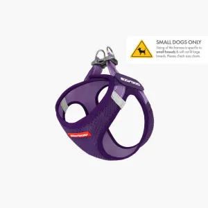 FORMFIT Mesh Harness | Purple