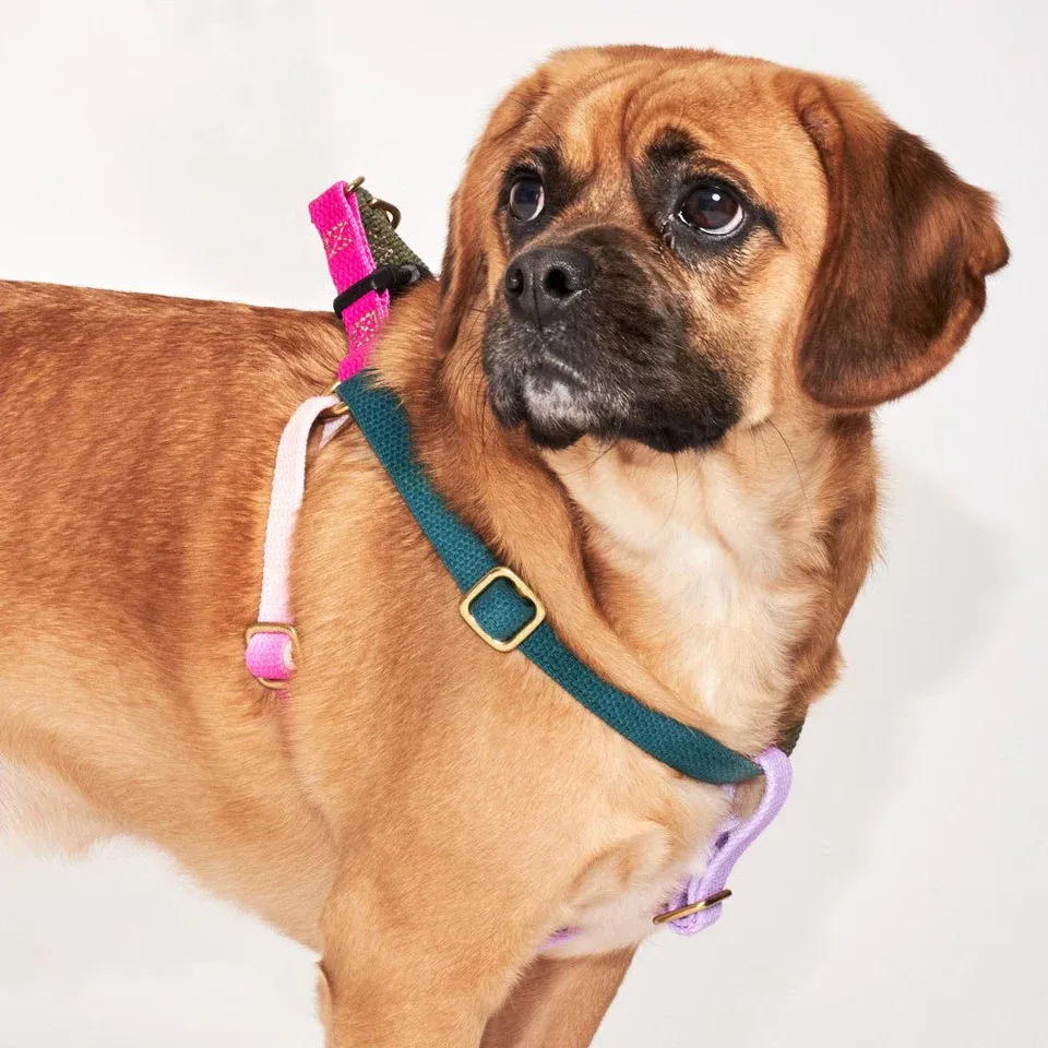 Found Classic Cotton Harness | Jolie