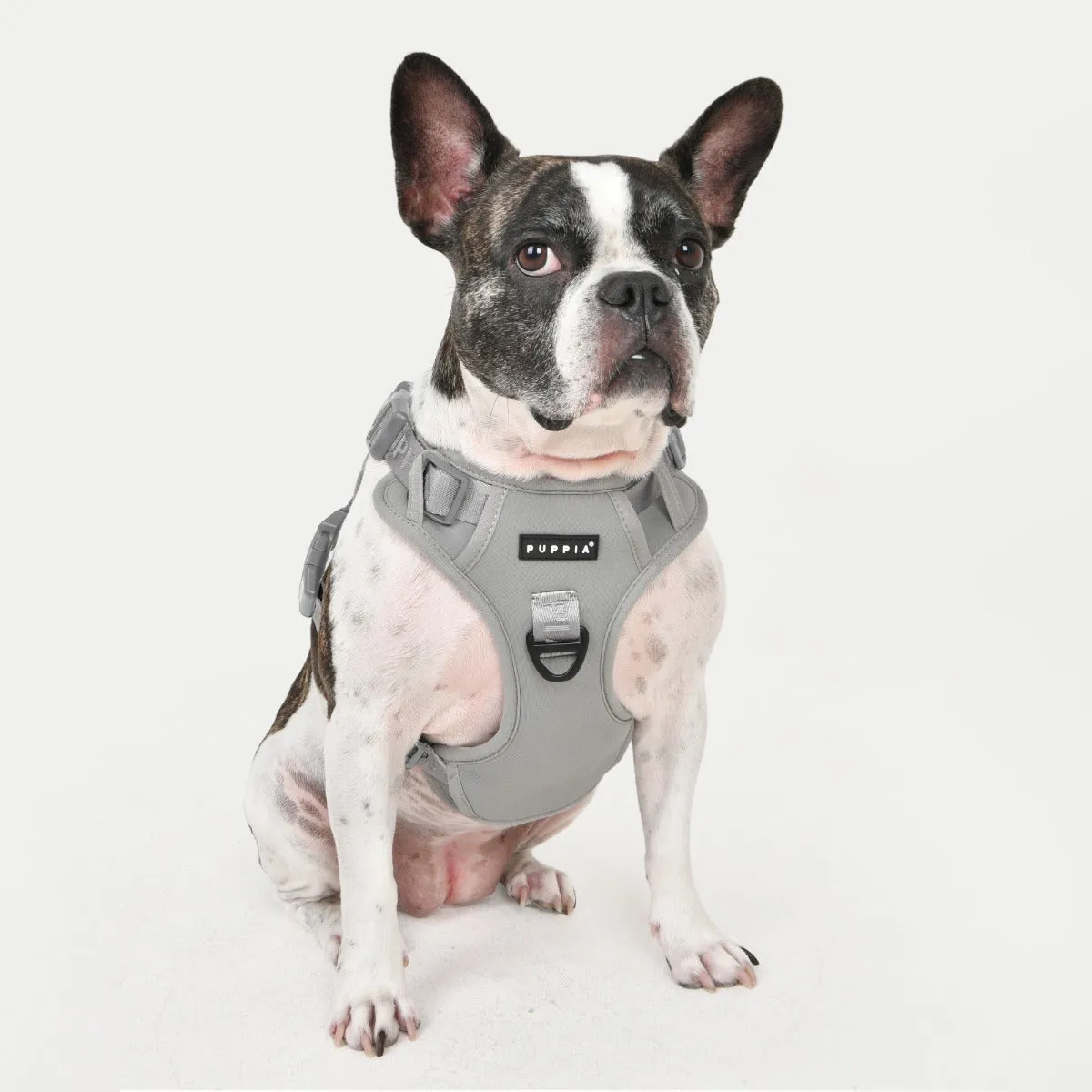 Front-Hook Harness | Jarek Gray