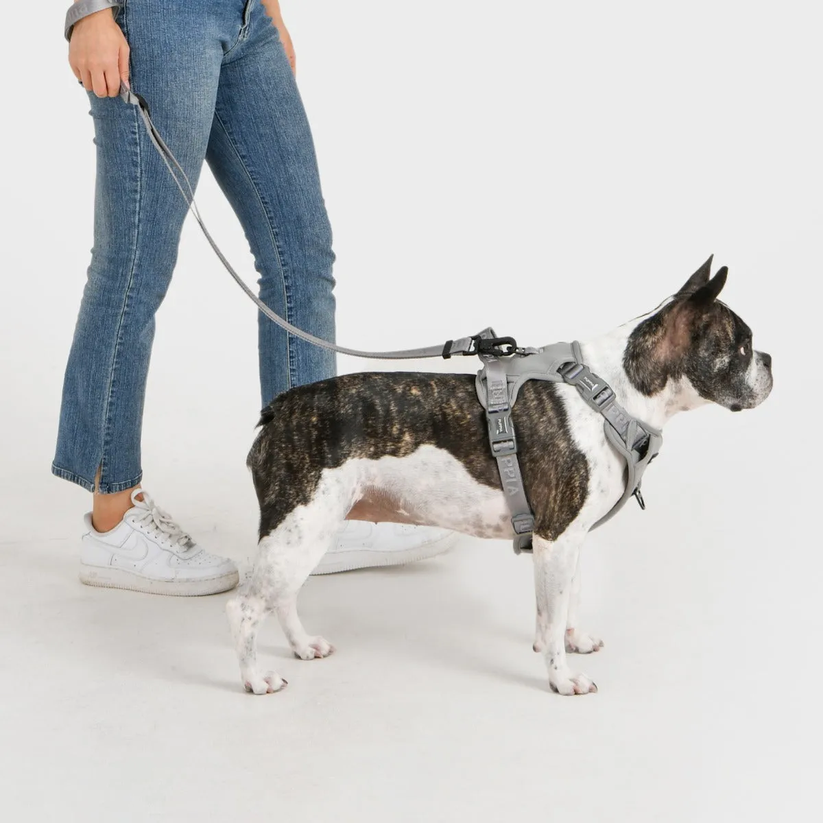Front-Hook Harness | Jarek Gray
