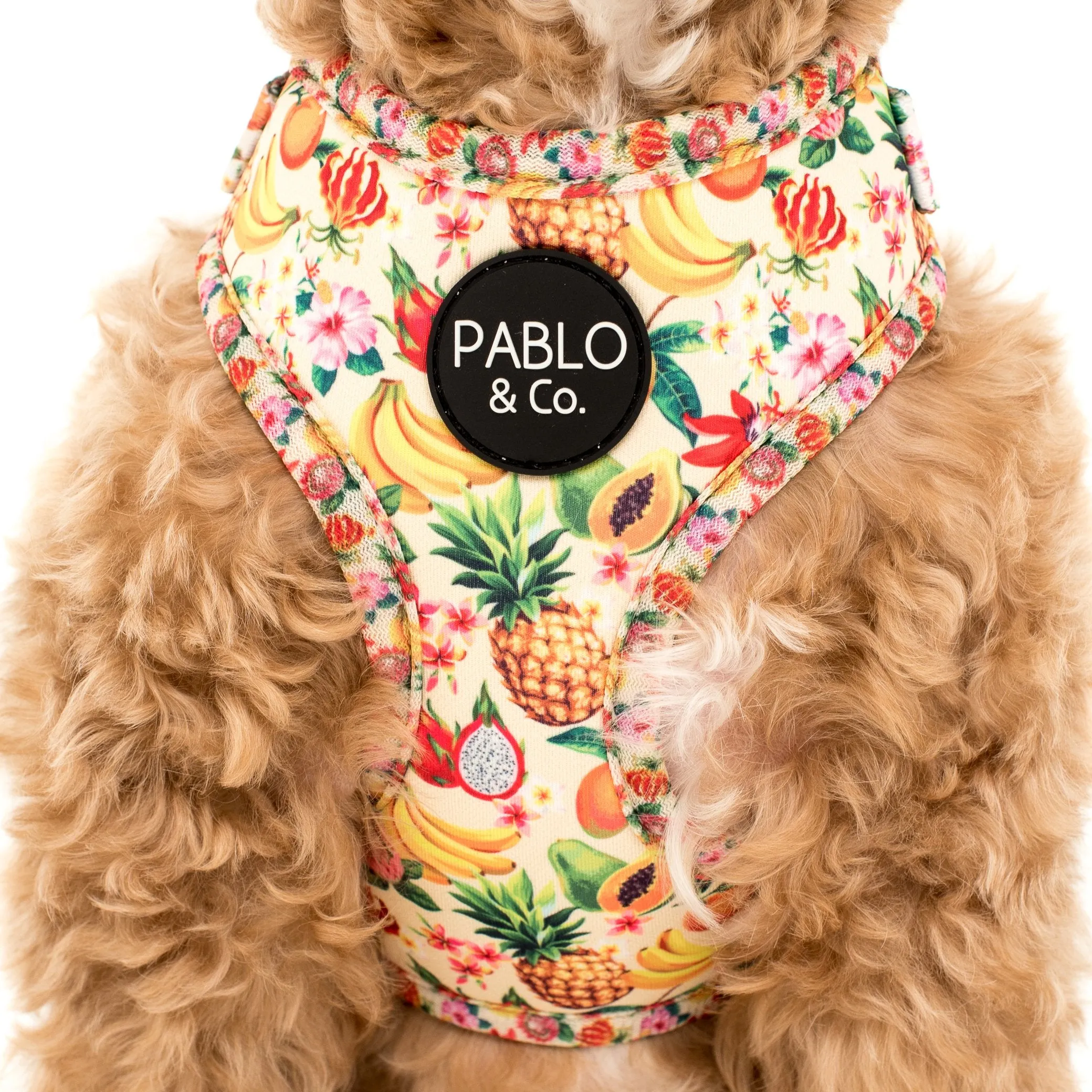 Fruity Adjustable Harness