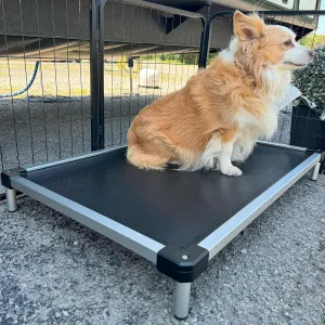 FXW TitanNest Cooling Chew-Proof Elevated Dog Bed, Washable Raised Cot for Outdoor/Camping/Indoor Use, Waterproof & Durable Pet Bed for Medium and Large Dogs, 42-Inch, Black