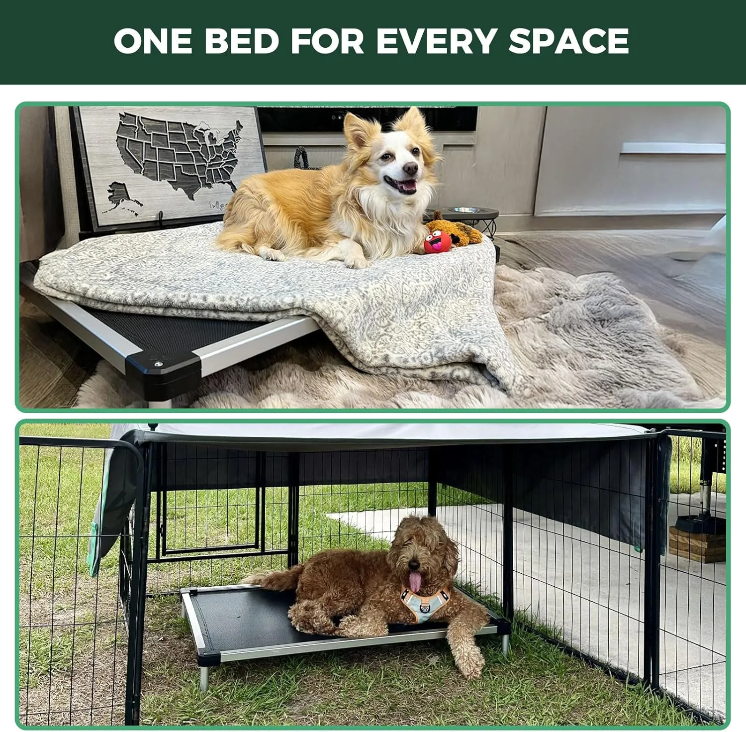 FXW TitanNest Cooling Chew-Proof Elevated Dog Bed, Washable Raised Cot for Outdoor/Camping/Indoor Use, Waterproof & Durable Pet Bed for Medium and Large Dogs, 42-Inch, Black