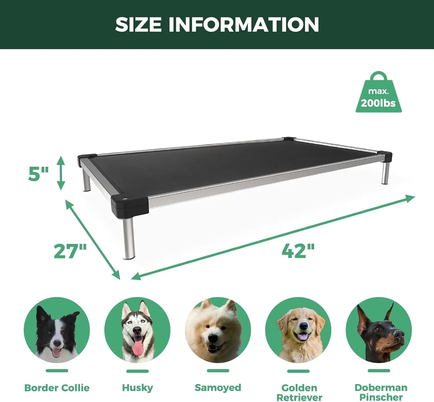 FXW TitanNest Cooling Chew-Proof Elevated Dog Bed, Washable Raised Cot for Outdoor/Camping/Indoor Use, Waterproof & Durable Pet Bed for Medium and Large Dogs, 42-Inch, Black
