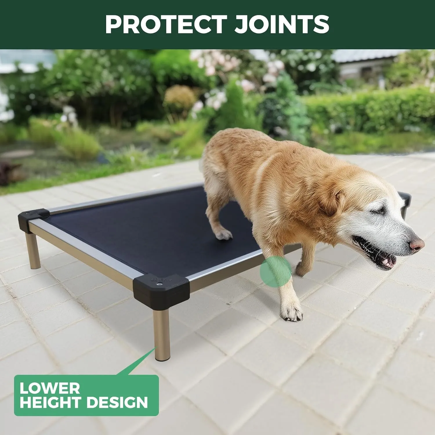 FXW TitanNest Cooling Chew-Proof Elevated Dog Bed, Washable Raised Cot for Outdoor/Camping/Indoor Use, Waterproof & Durable Pet Bed for Medium and Large Dogs, 42-Inch, Black