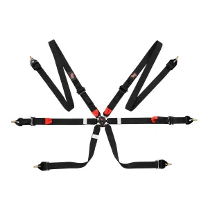 G-Force 2027 FIA 2 Harness