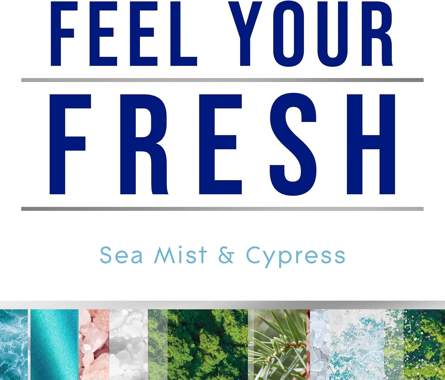 Glade Air Freshener Room Spray, Sea Mist & Cypress, Odor Fighting to Deliver Long Lasting Freshness, 8 Oz, 6 Count