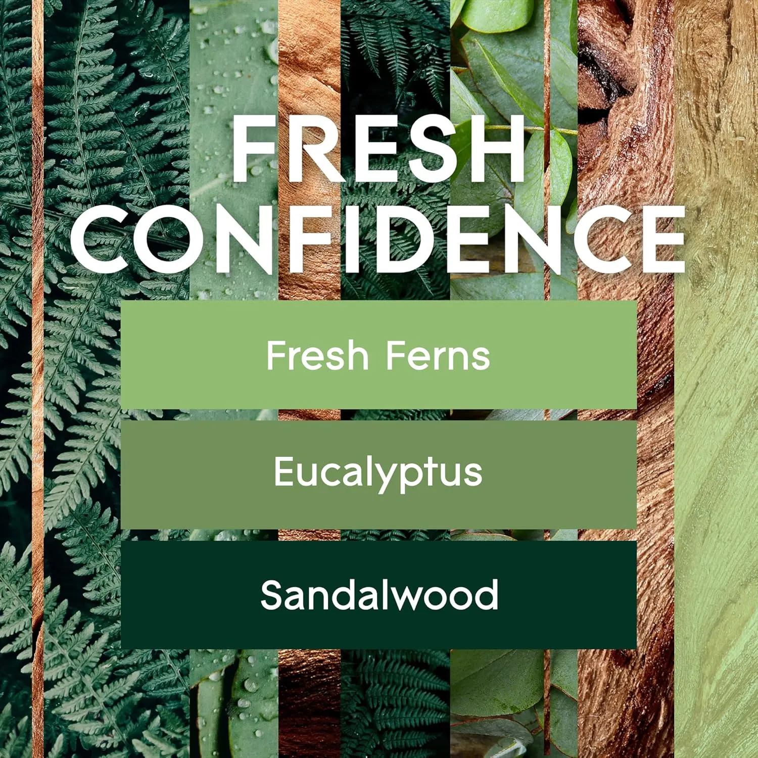 Glade Air Freshener Spray, Fresh Confidence Limited Edition, Fragrance Infused with Essential Oils, 100% Natural Propellent, 8 oz, Pack of 6