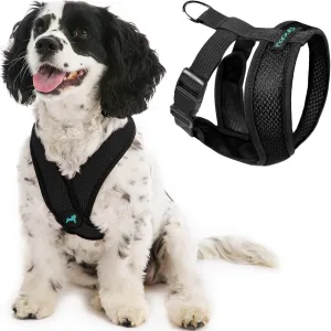 Gooby Comfort X Head In Harness - Black, Medium - No Pull Small Dog Harness Patented Choke-Free X Frame - Perfect on the Go Dog Harness for Medium Dogs No Pull or Small Dogs for Indoor and Outdoor Use