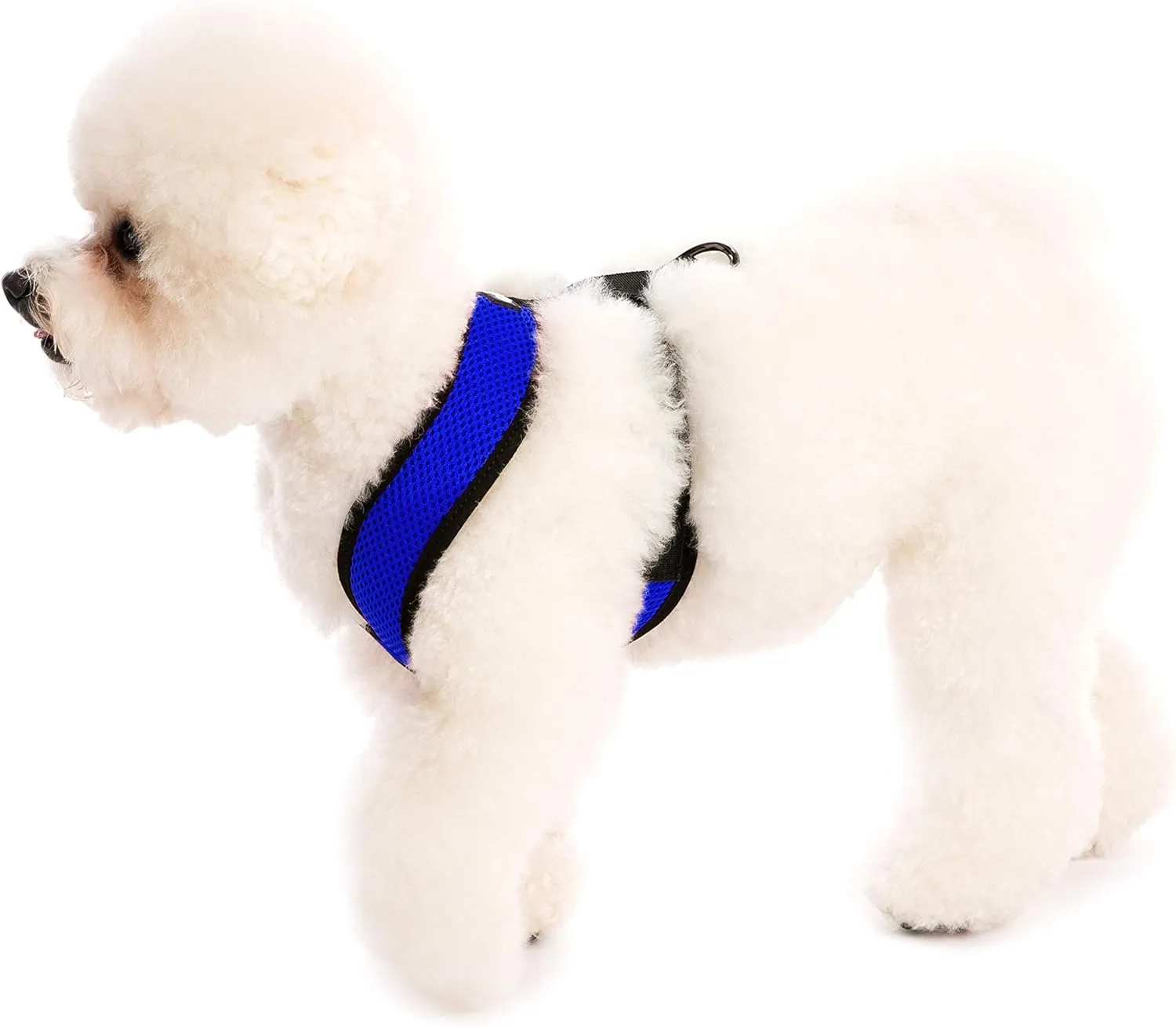 Gooby Comfort X Head In Harness - Blue, Medium - No Pull Small Dog Harness, Patented Choke-Free X Frame - Perfect on the Go Dog Harness for Medium Dogs No Pull or Small Dogs for Indoor and Outdoor Use