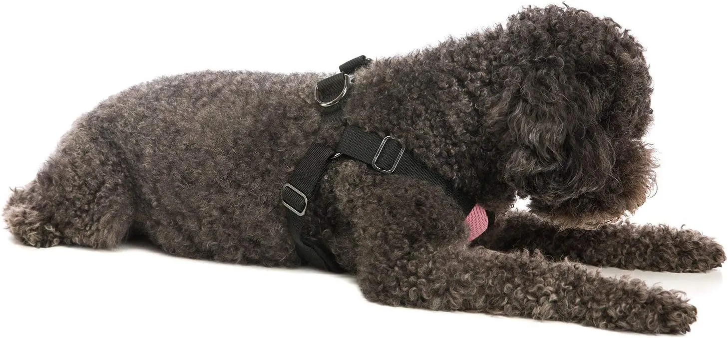 Gooby - Comfort X Step-in Harness, Choke Free Small Dog Harness with Micro Suede Trimming and Patented X Frame, Pink, Small