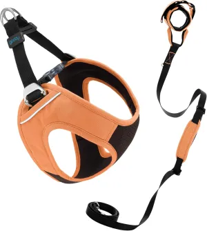 Gooby Escape Free Easy Fit Plus Harness and Wristband Surfer Leash with Traffic Handle Set-Atlanta Peach, Large, 6 FT-Secure Harness and Handsfree Leash with Dual Handle for Small and Medium Dog