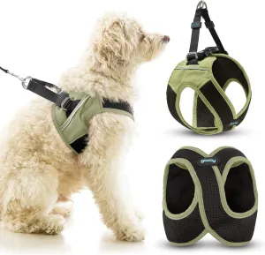 Gooby Escape Free Easy Fit X in Dog Harness - Portland Green, X-Small