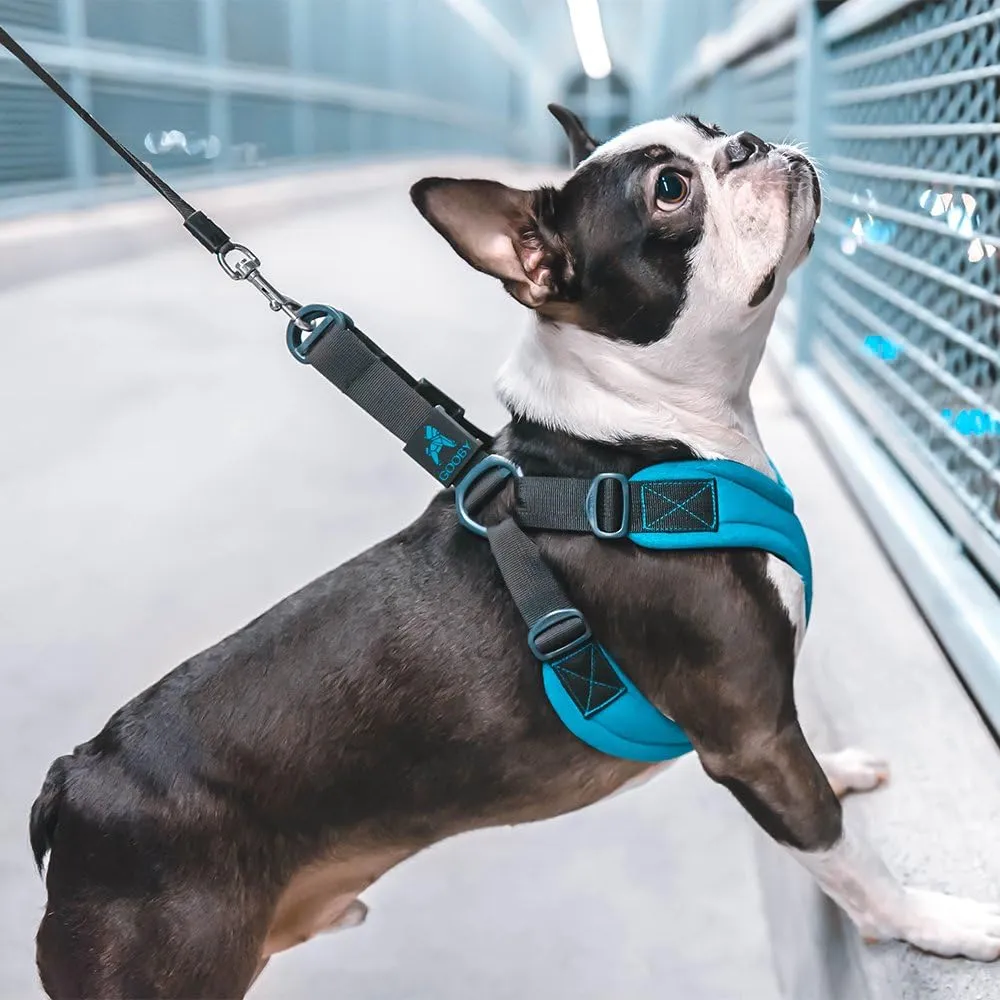 Gooby - Escape Free Sport Harness, Small Dog Step-In Neoprene Harness for Dogs that Like to Escape Their Harness, Blue, Small