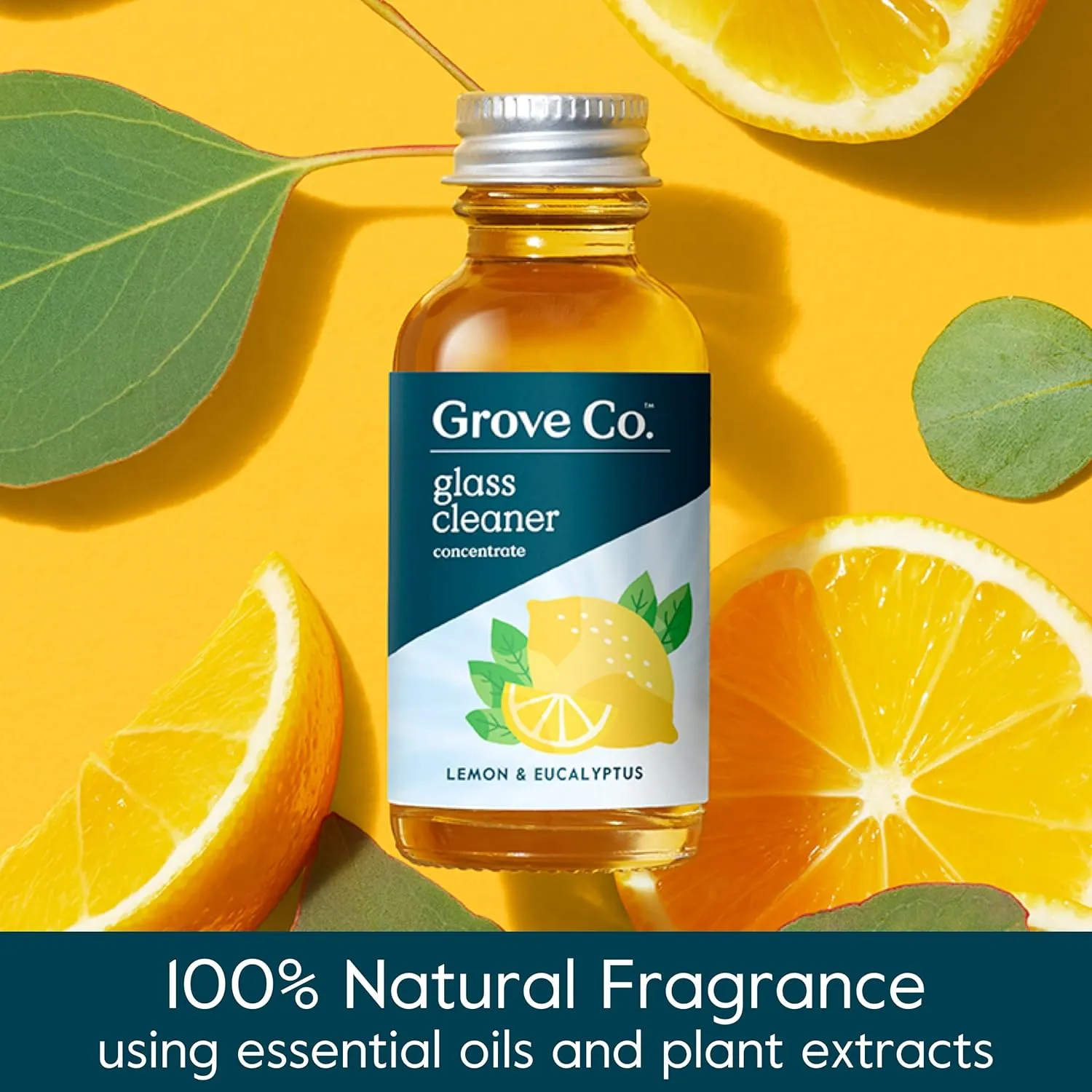 Grove Co. Glass Cleaner, Refill Concentrate (6 x 1 Fl Oz) Streak Free, Plant-Based Household Cleaning Supplies, No Plastic Waste, 100% Natural Lemon & Eucalyptus Fragrance, 3 x 2 Pack Refills