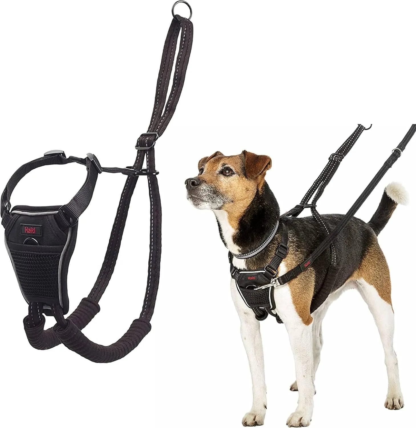 HALTI No Pull Harness - To Stop Your Dog Pulling on the Leash. Adjustable, Lightweight, Reflective Dog Training Harness for Small Dogs (Size S), Neck measurements: (26 - 36 cm/10 - 14 in)