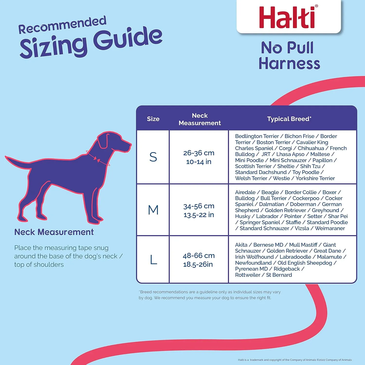 HALTI No Pull Harness - To Stop Your Dog Pulling on the Leash. Adjustable, Lightweight, Reflective Dog Training Harness for Small Dogs (Size S), Neck measurements: (26 - 36 cm/10 - 14 in)