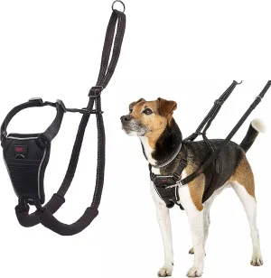 HALTI No Pull Harness - To Stop Your Dog Pulling on the Leash. Adjustable, Lightweight, Reflective Dog Training Harness for Small Dogs (Size S), Neck measurements: (26 - 36 cm/10 - 14 in)