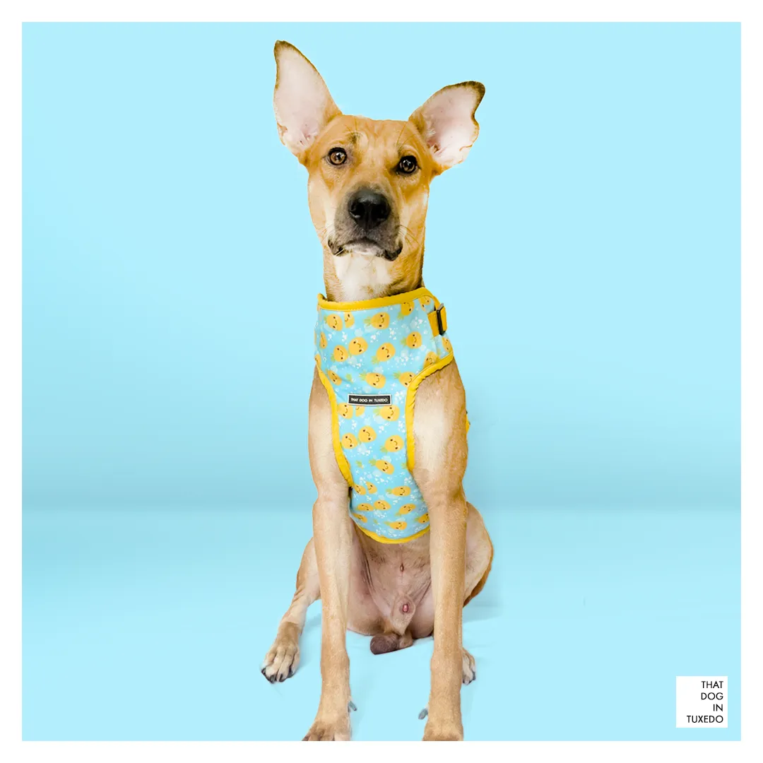 Happy Pineapple Body Mesh Harness