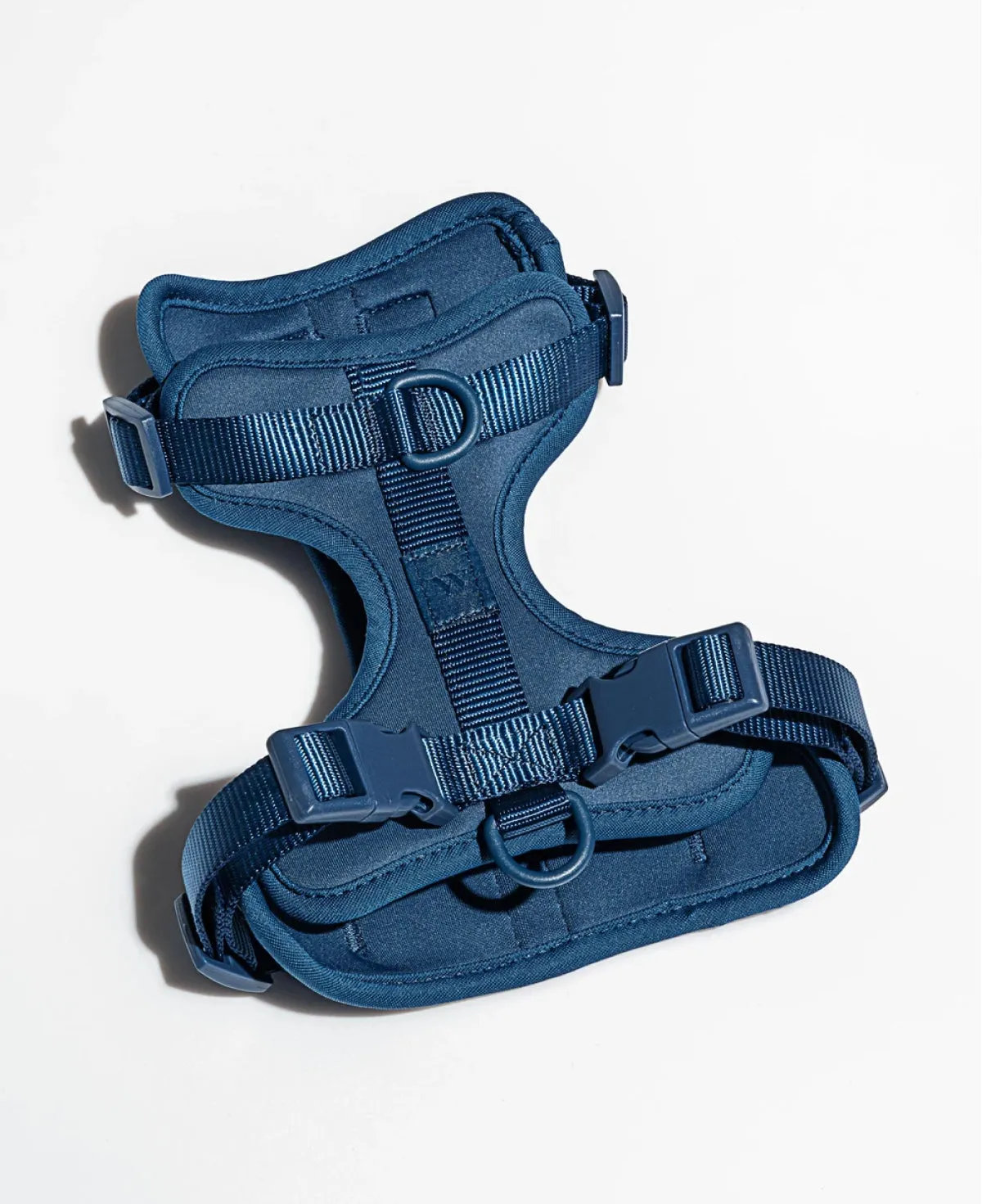 Harness