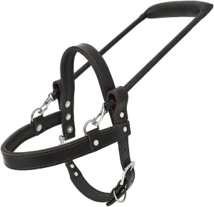 HILASON Guide Dog Harness Brown Padded Genuine Leather with Handle Brown | Dog Harness with Adjustable Straps | Dog Harness with Handle for Training | Breathable Dog Harness | Therapy Dog Harness