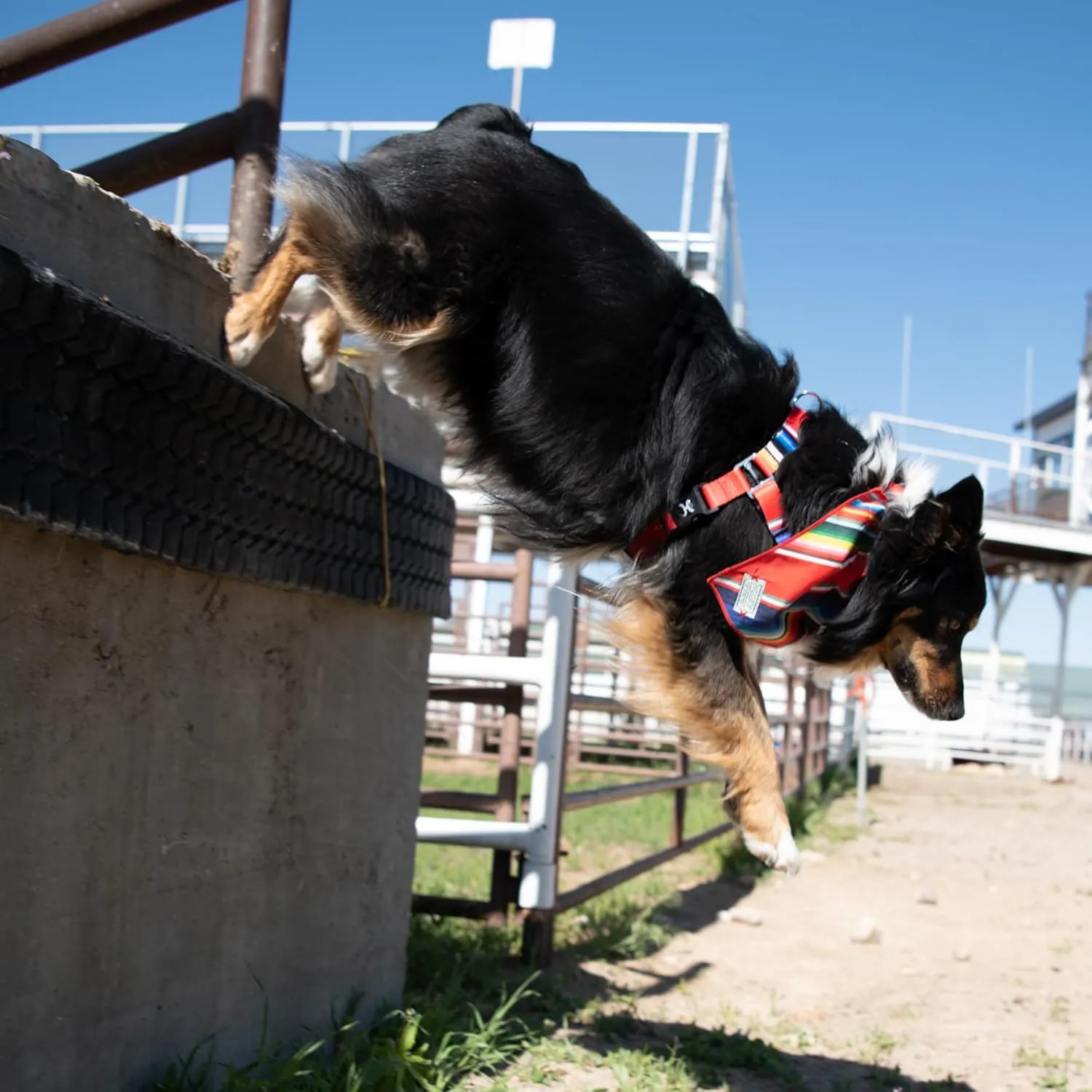 Hooey Nomad Walking Dog Harness, No-Pull Adjustable Harness for Dogs, Tijuana Serape, Medium